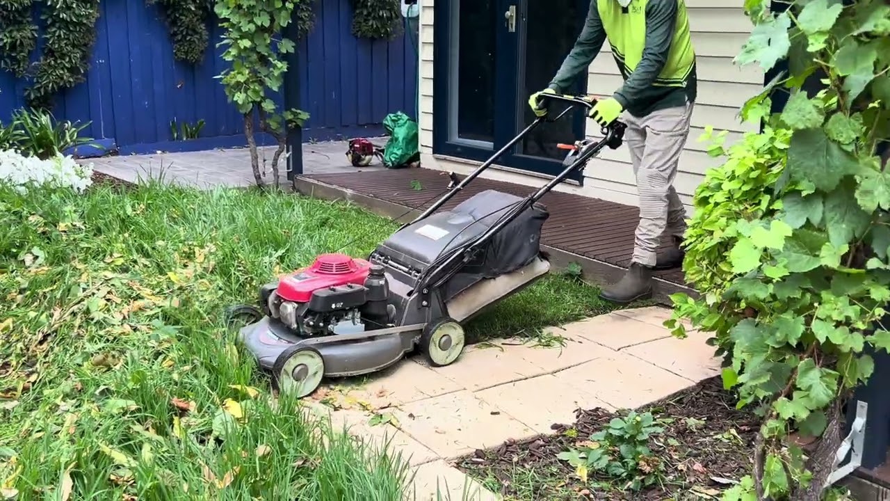 Mowing Lush Green Grass With A 21” Honda Lawn Mower 