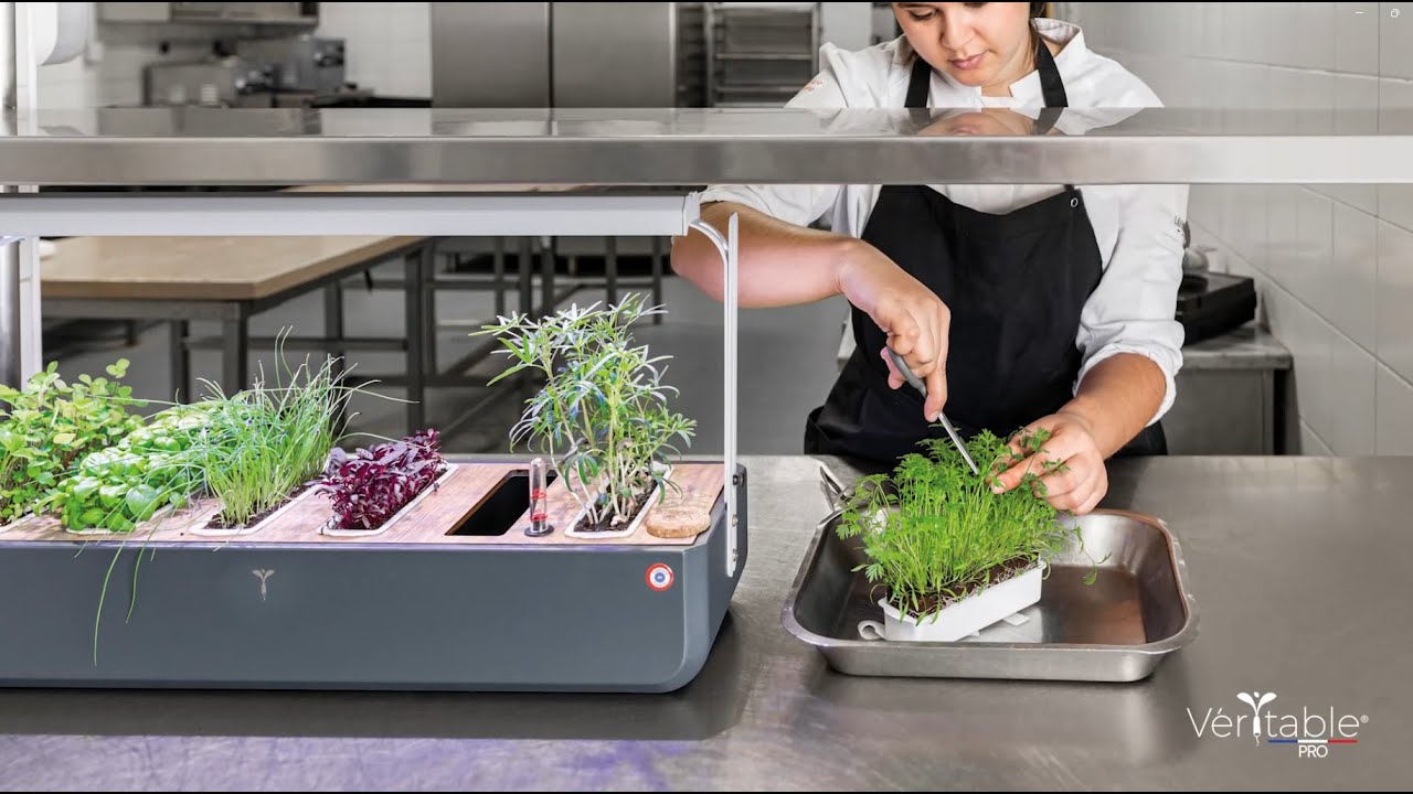 Véritable Pro - Gourmet - Catering