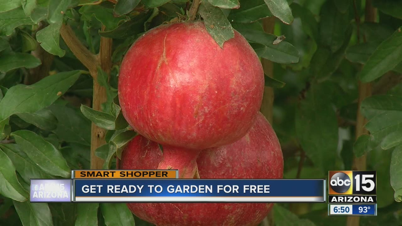 Save on your winter gardening this season