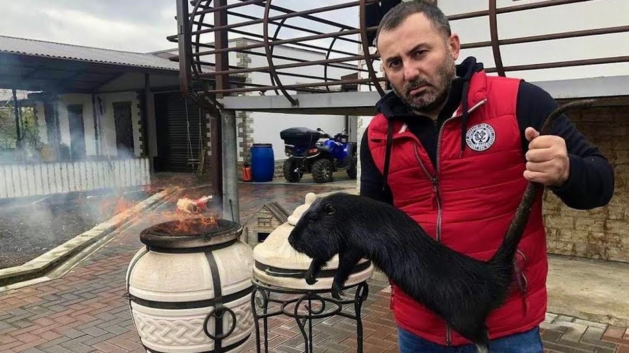 Мясо в тандыре. Шашлык из нутрии.