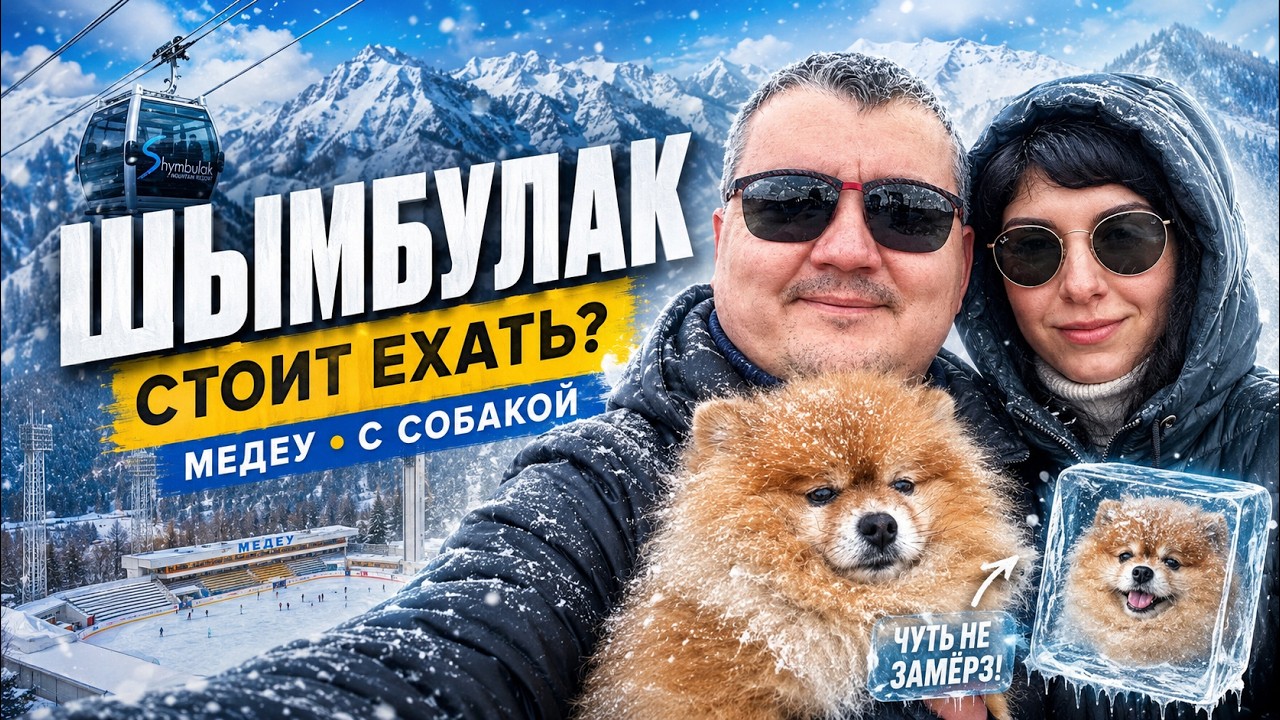 Медеу и Шымбулак, чуть не замёрзли с собакой, стоило ли оно того? Как добраться, цены, впечатления