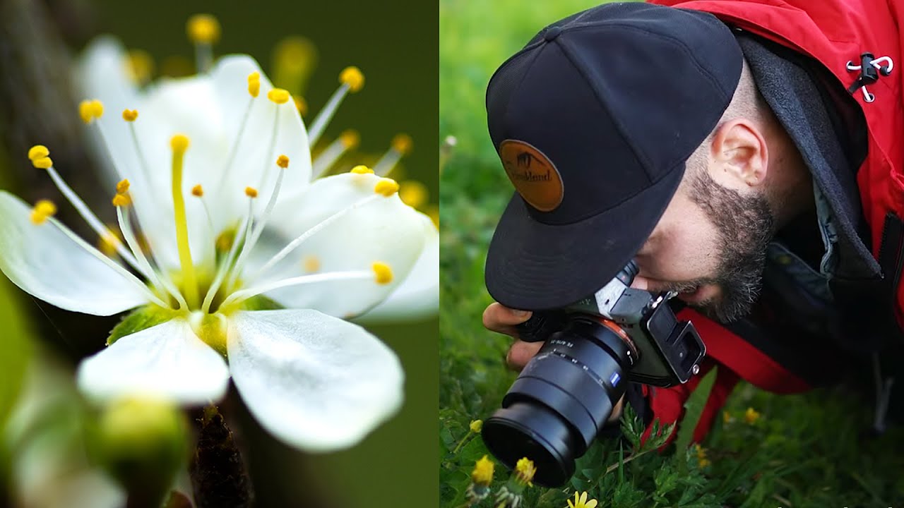 Fotografieren im Garten 📷5 Tipps | Jaworskyj