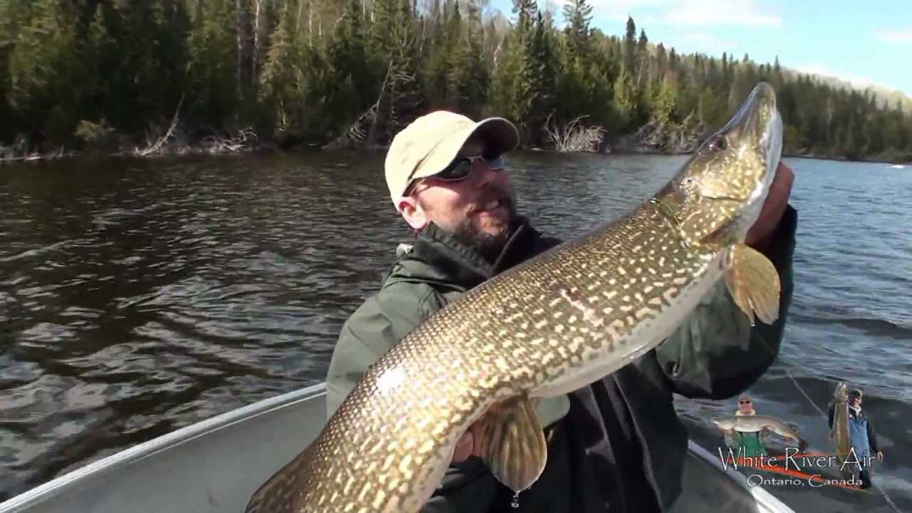 White River Air Pike Fishing