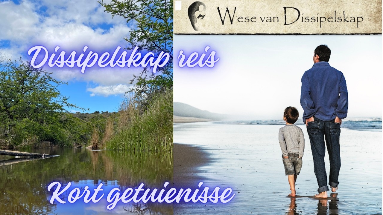 Dissipelskap promosie video