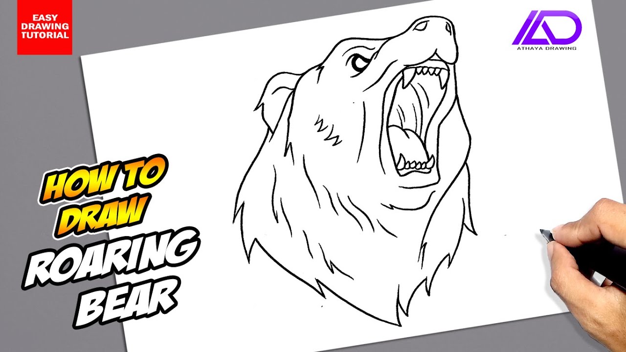 How to draw Roaring Bear
