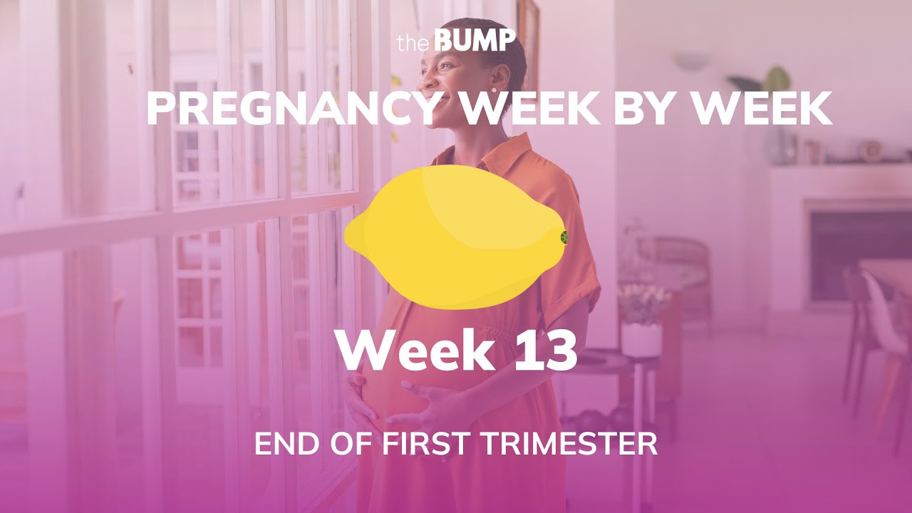 Pregnancy Week 13 | End of First Trimester | Pregnancy Week By Week
