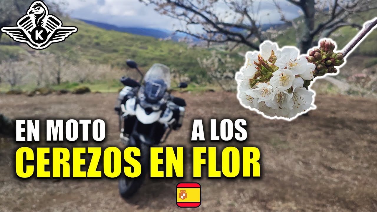 CEREZOS EN FLOR - Ruta en solitario