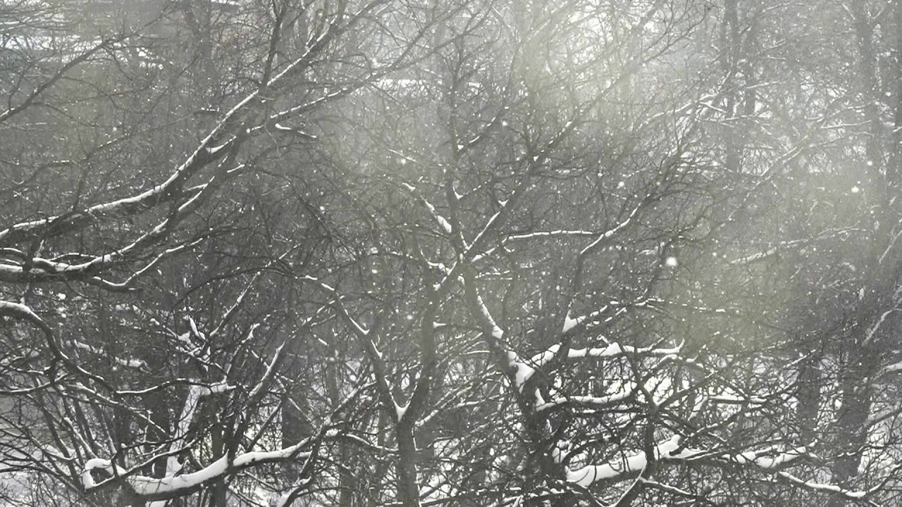 Winter 2021 - Schneefall Rekordwinter Halle (Saale)