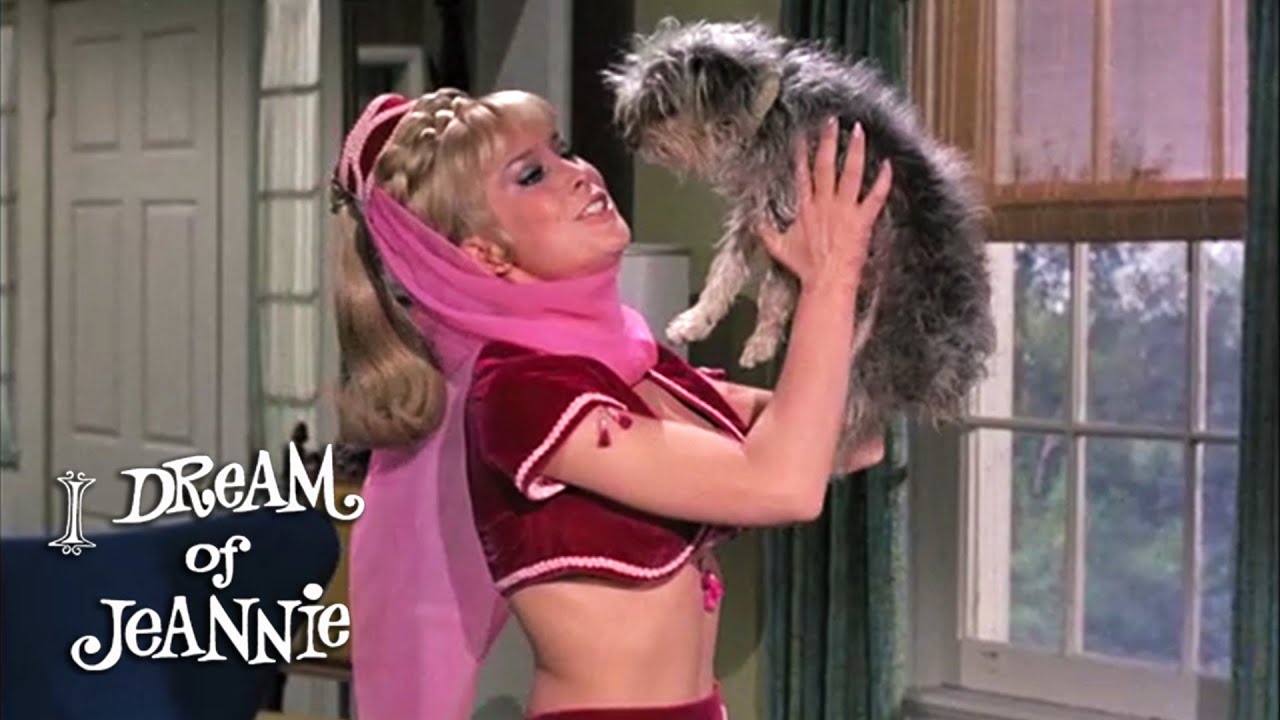 A Genie And Her Dog | I Dream Of Jeannie