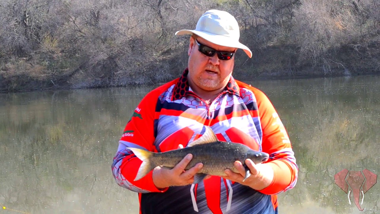 Jumbo Fishing Gaan Kuier By Vosrite Fishing Adventures