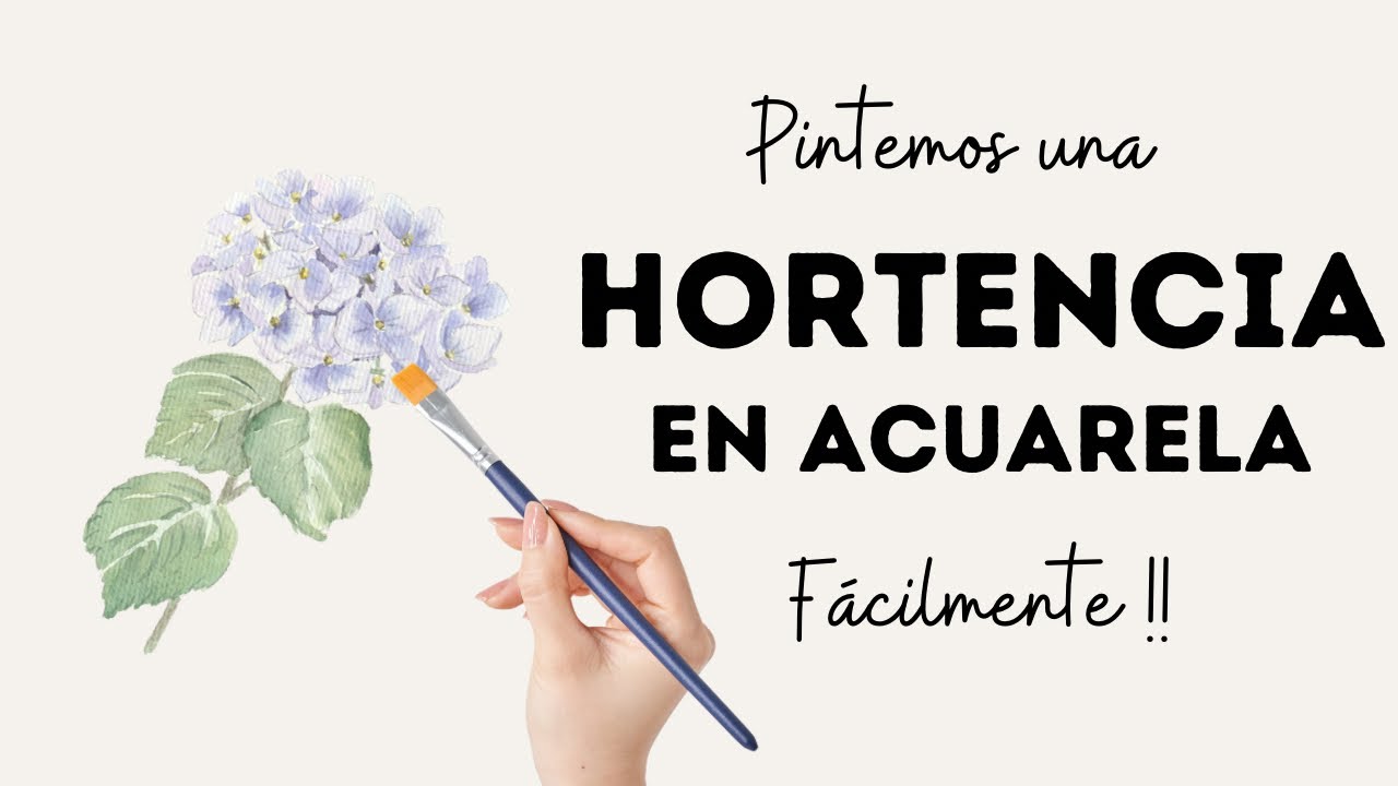 Pintemos fácilmente  una Hortencia  en acuarela