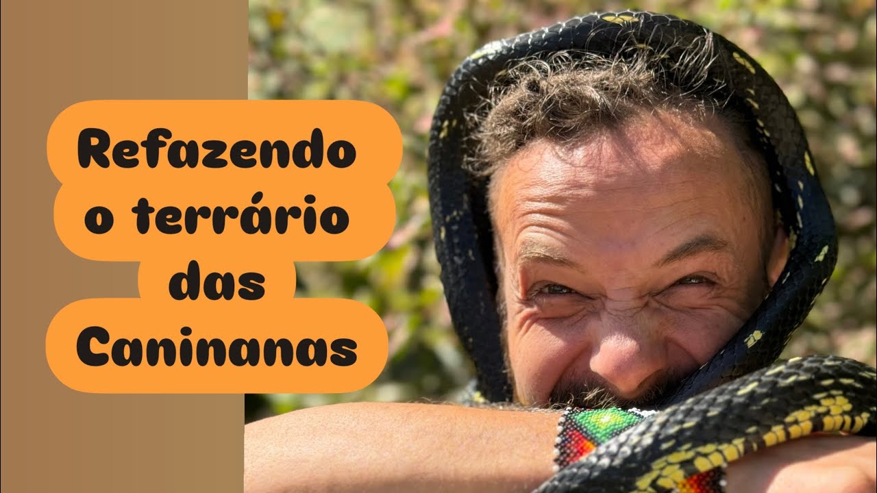 DIA DAS CANINANAS