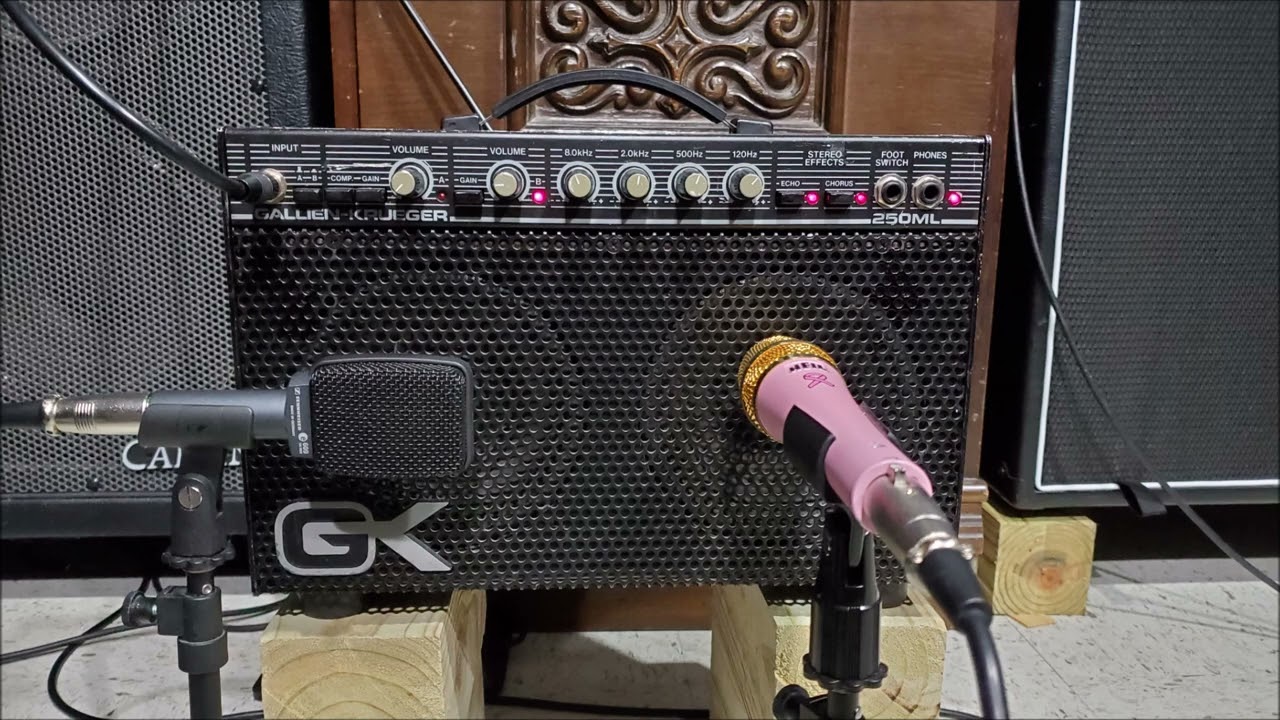 Gallien Krueger 250ML - Iron Maiden - stock combo speakers