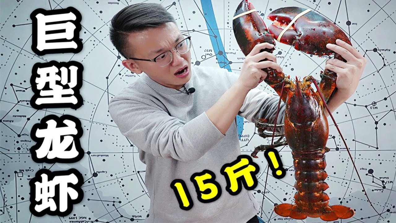 【超大波士頓龍蝦】2000元15斤巨型波士頓龍蝦和400克的“迷你”波龍哪個更好吃？結果竟然是...【加油小軍哥】