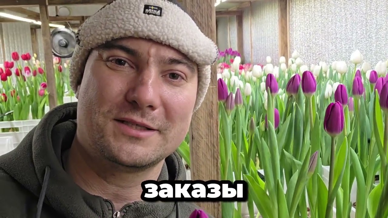 Сорт Роеска. Последний день приёма заказов 2026 🌷