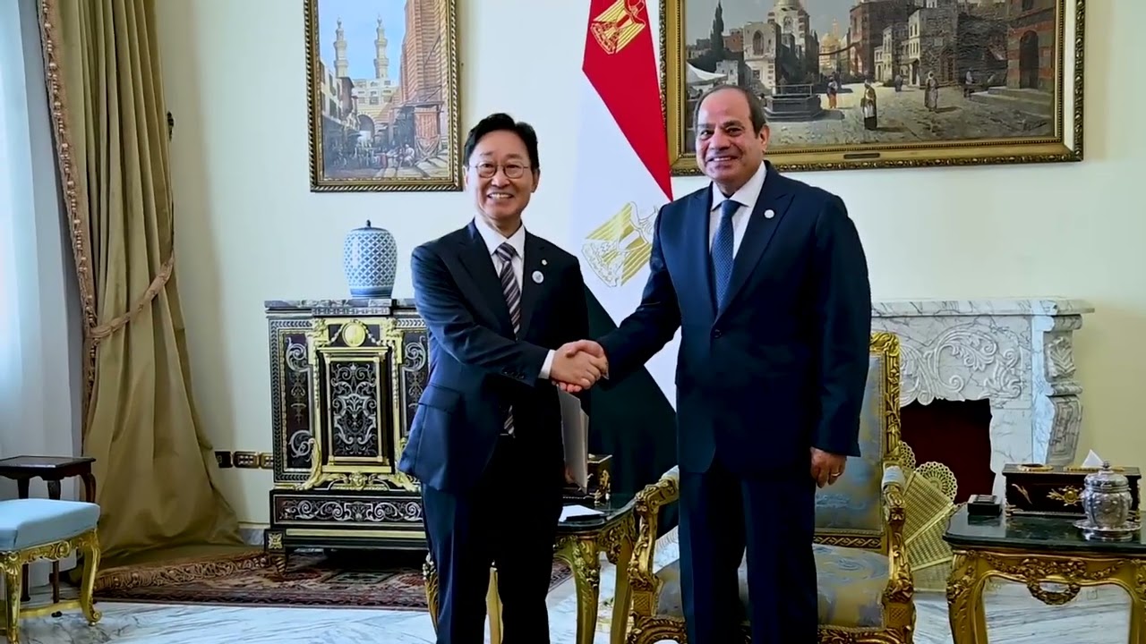 تفاصيل لقاء الرئيس السيسي مع بارك بوم كي المبعوث الخاص لرئيس كوريا الجنوبية