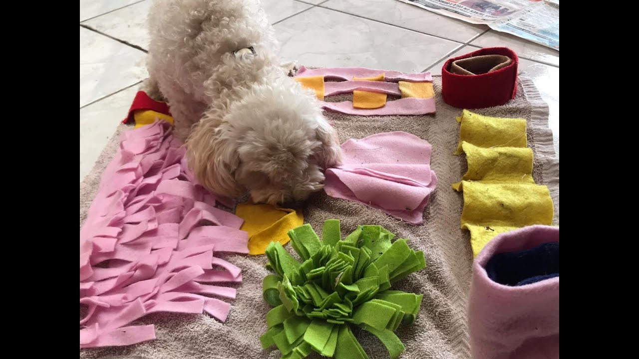 Tapete olfativo para Mini Pigs y perros