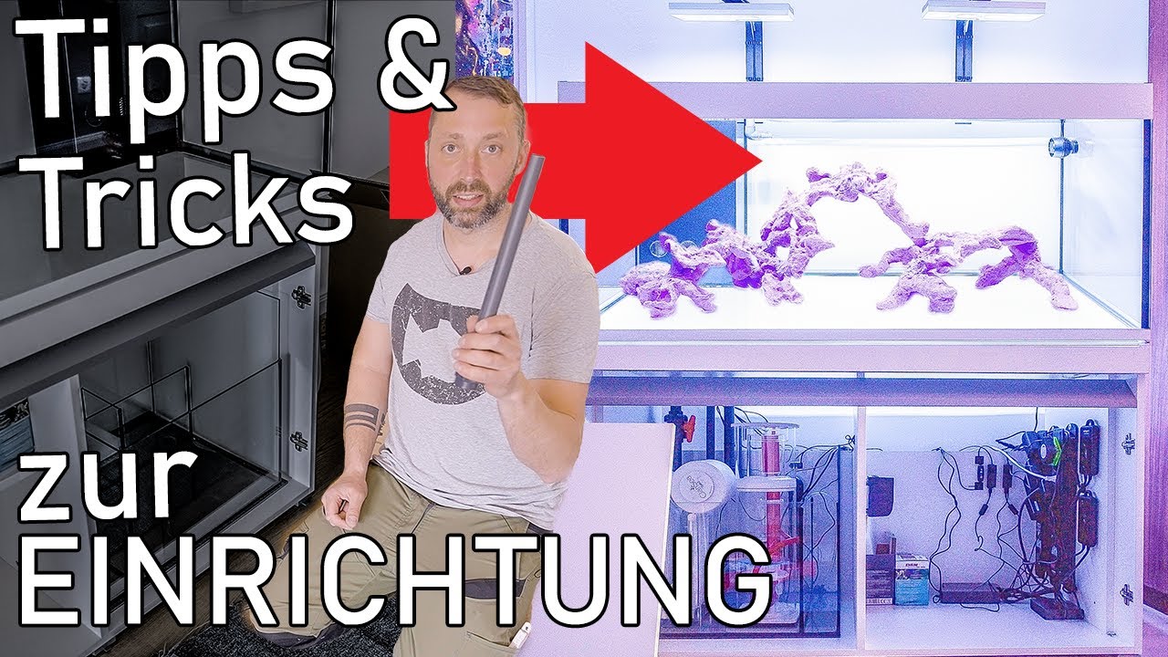 Wie entsteht ein Meerwasseraquarium? / 400l Einrichten 2/2
