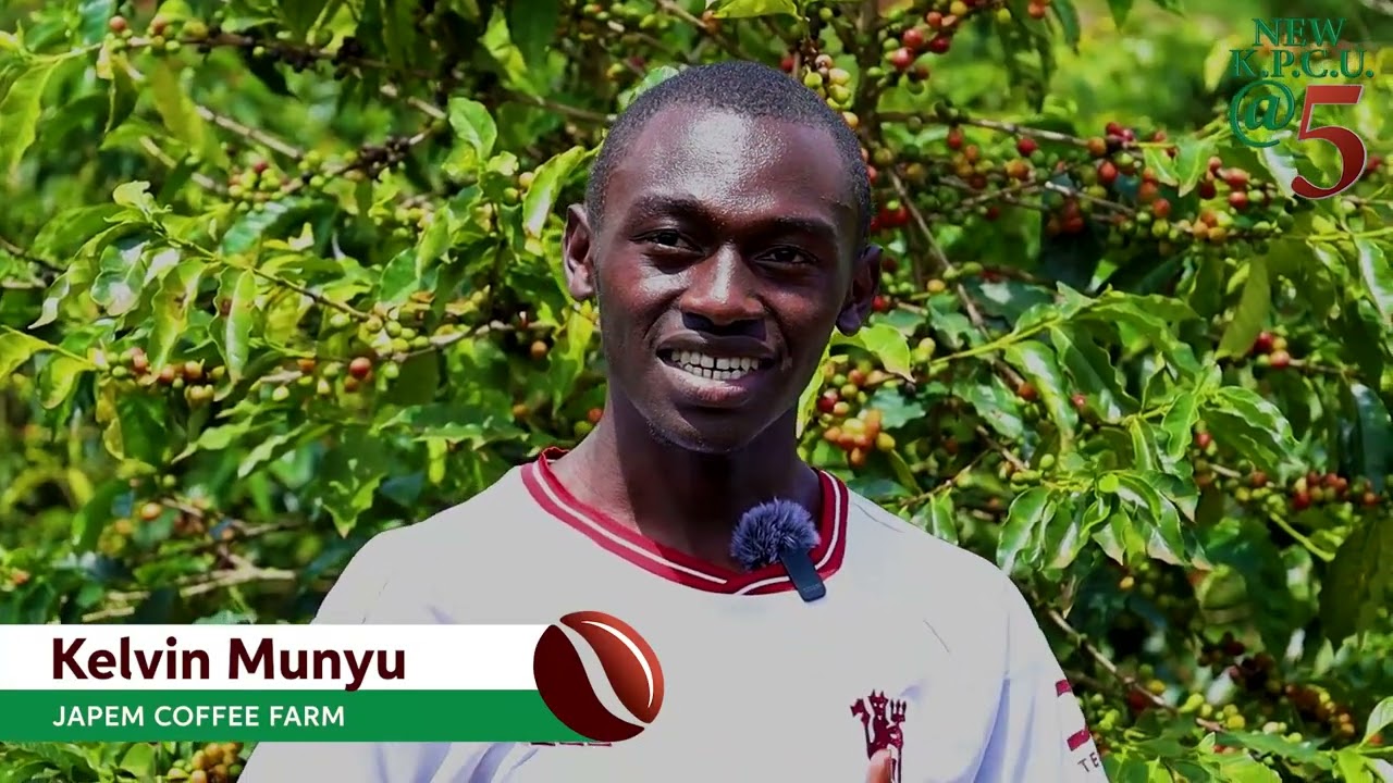 COFFEE/KAHAWA IN KENYA DOCUMENTARY 2024(NEW KPCU @ 5)