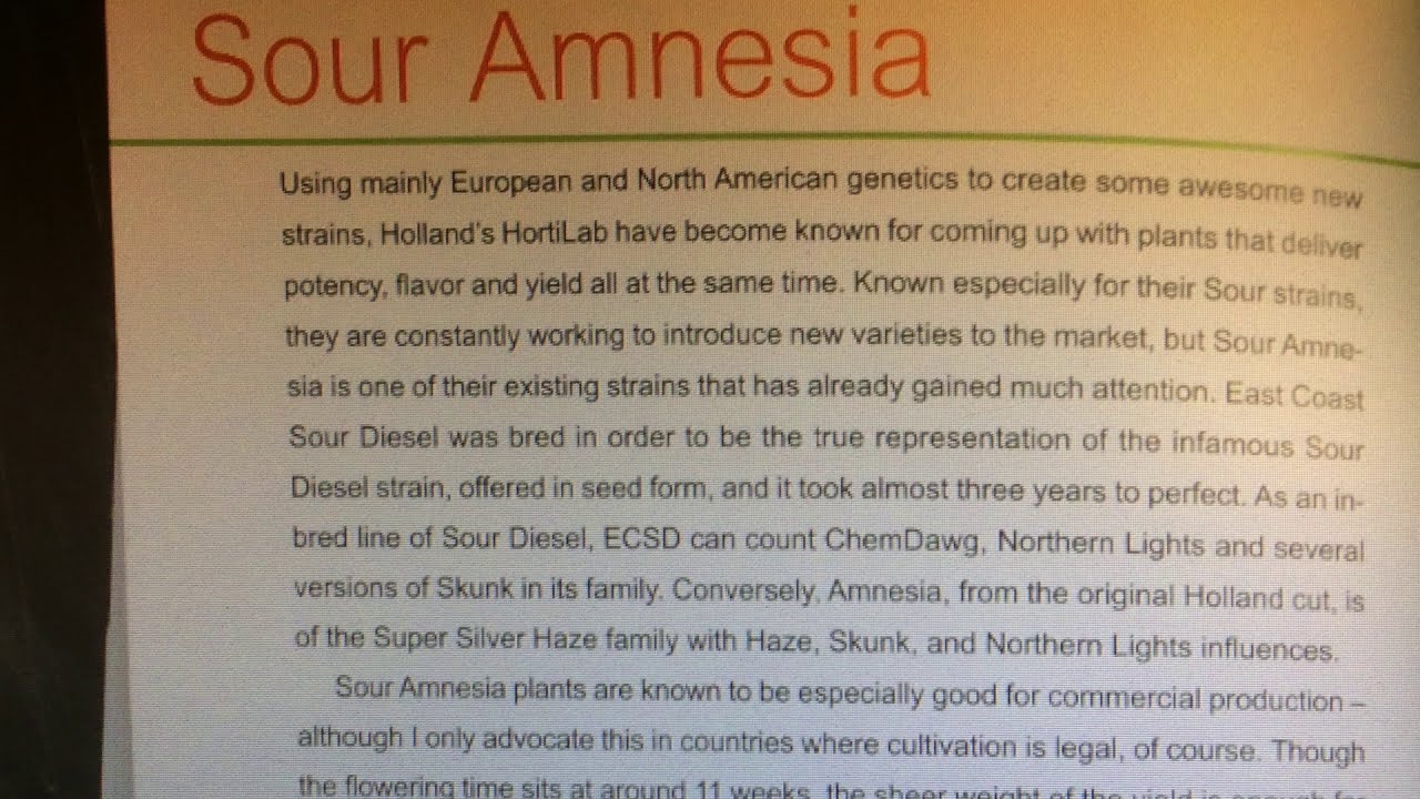 Sour Amnesia
