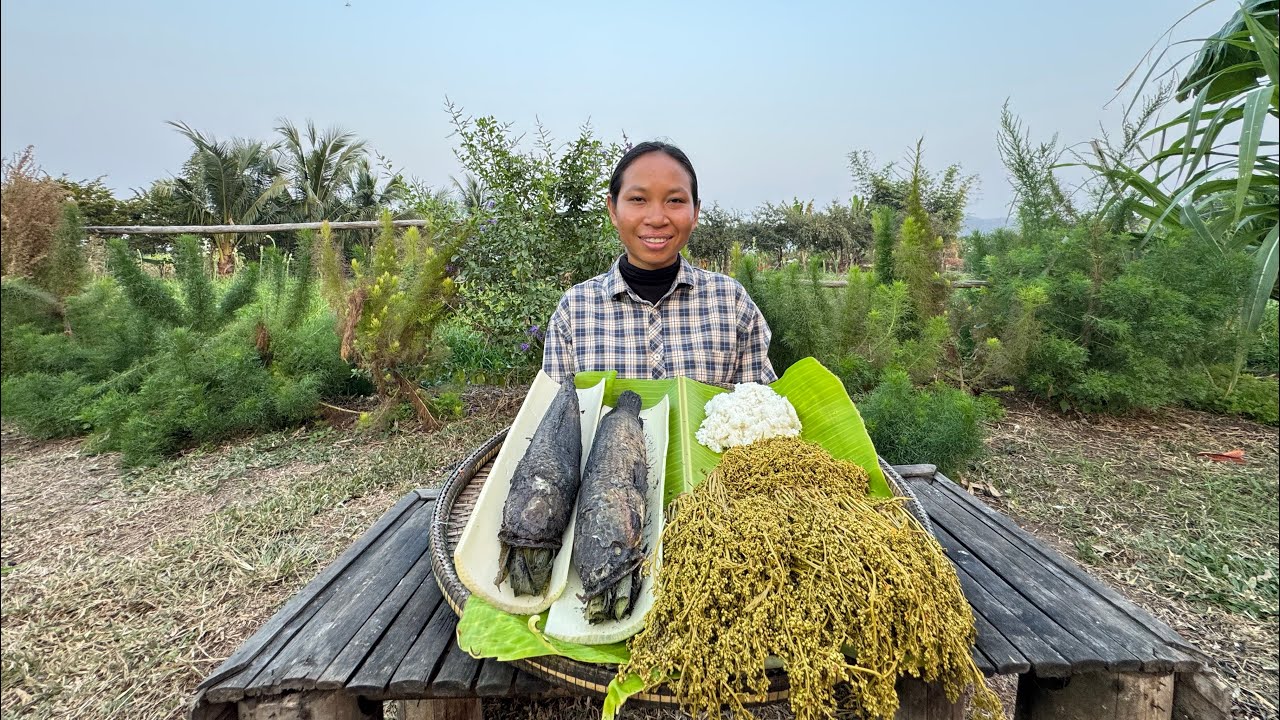 ជ្រក់ផ្កាស្តៅត្រីដុត