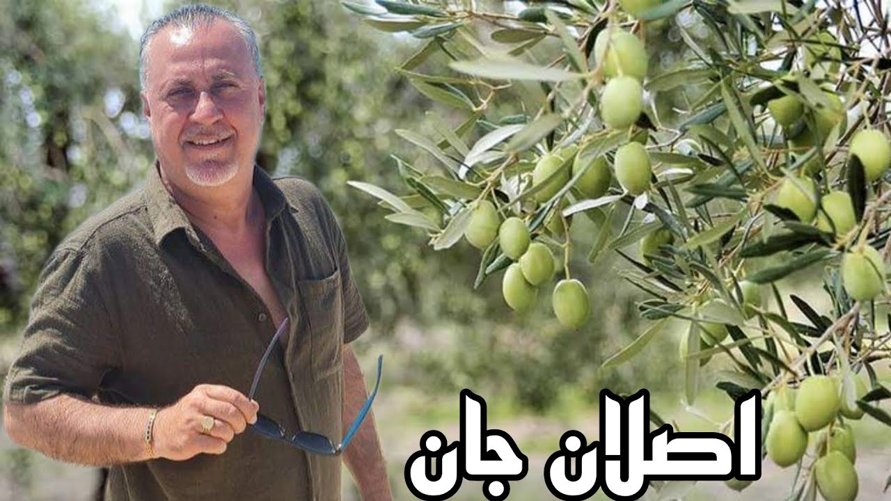 اروع اغاني اصلان جان 2025جديد💃