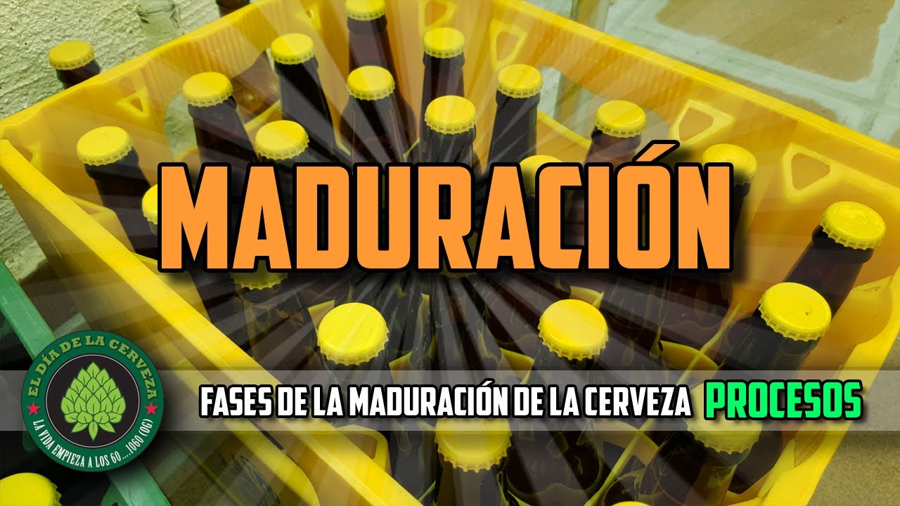 C&oacute;mo Hacer Cerveza Artesanal en Casa. MADURACI&Oacute;N (PROCESOS)