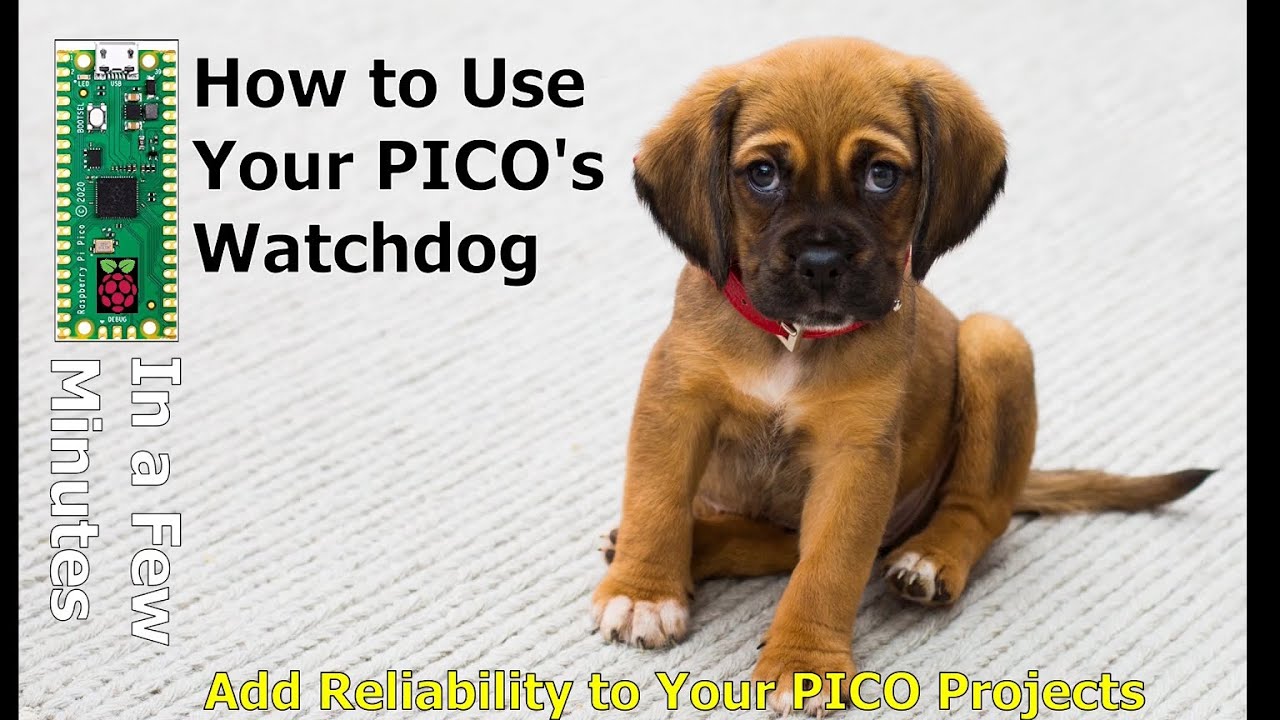 How to use the PICO Watchdog Timer