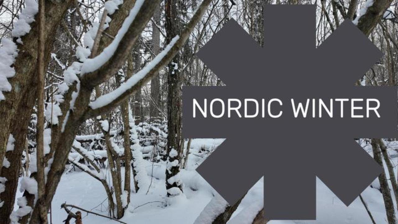 A Walk in the Nordic Forest Frost.