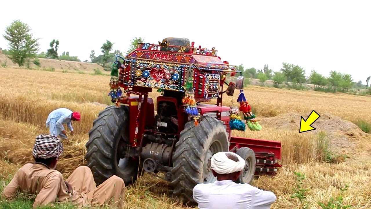 Wheat Cutter Machine Reaper Massey Tractor Working Agriculture