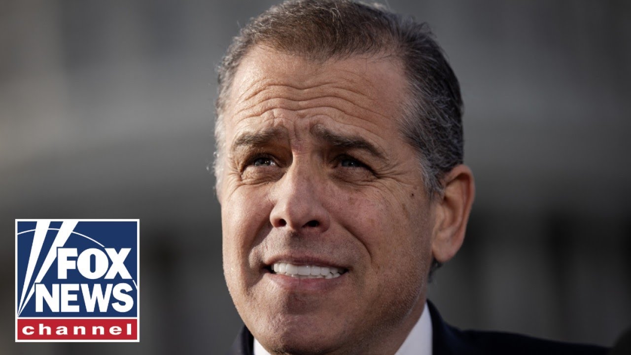 Hunter Biden juror speaks out after guilty verdict: 'Politics played no part in this'