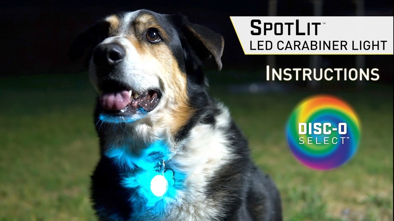 Instructions - SpotLit LED Carabiner Light - Disc-O Select
