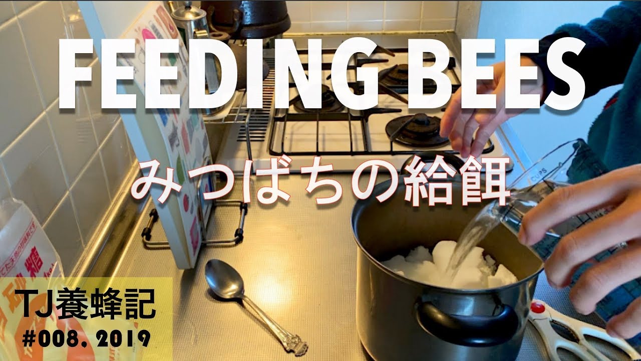 みつばちの給餌 ３月 (