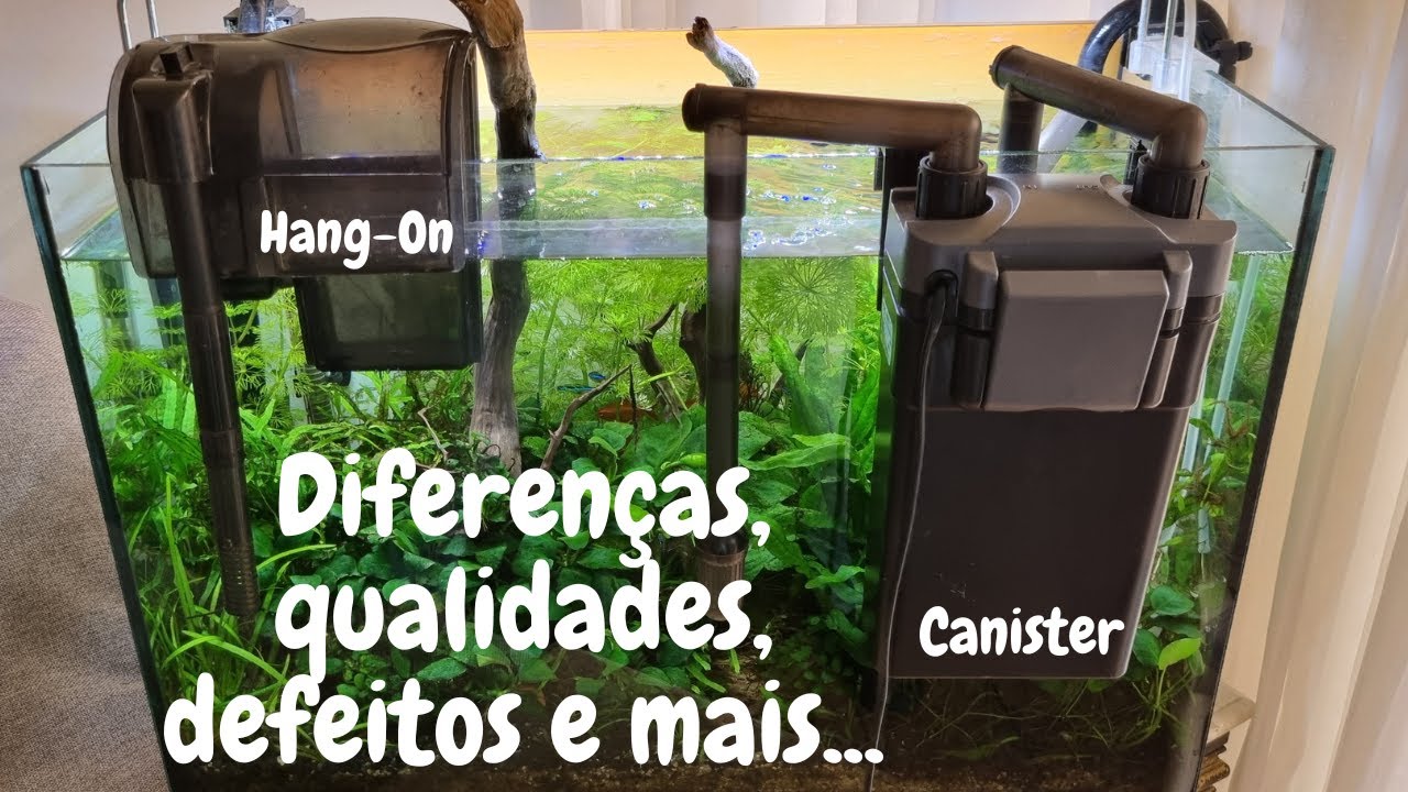 HANG-ON ou CANISTER? Qual o melhor filtro para seu aquário? Entenda... Amazonic Tank