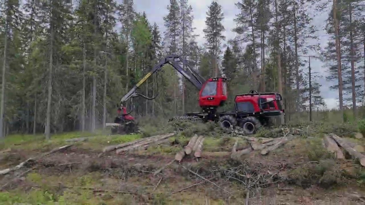 Komatsu 951XC #KomatsuForest #Komatsudays2025 #komatsu