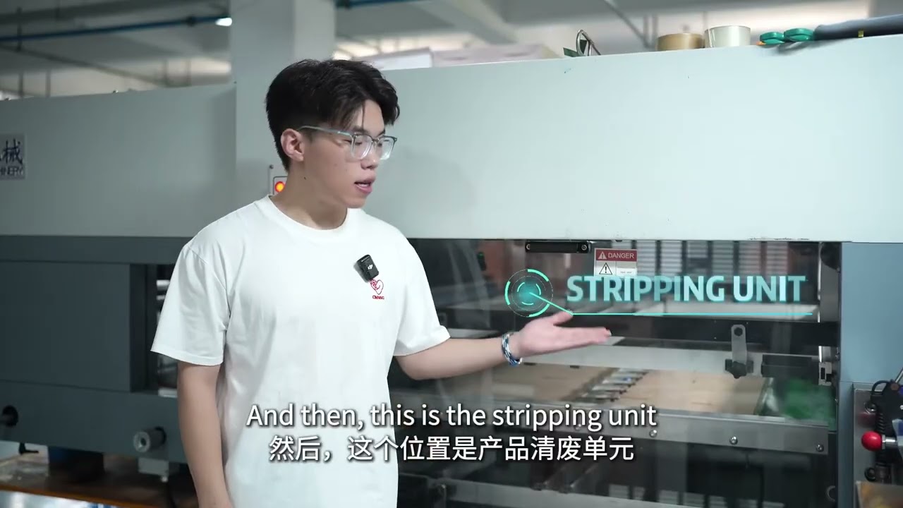 Oyang WH Automatic Die-cutting Machine with Stripping -  Introduction