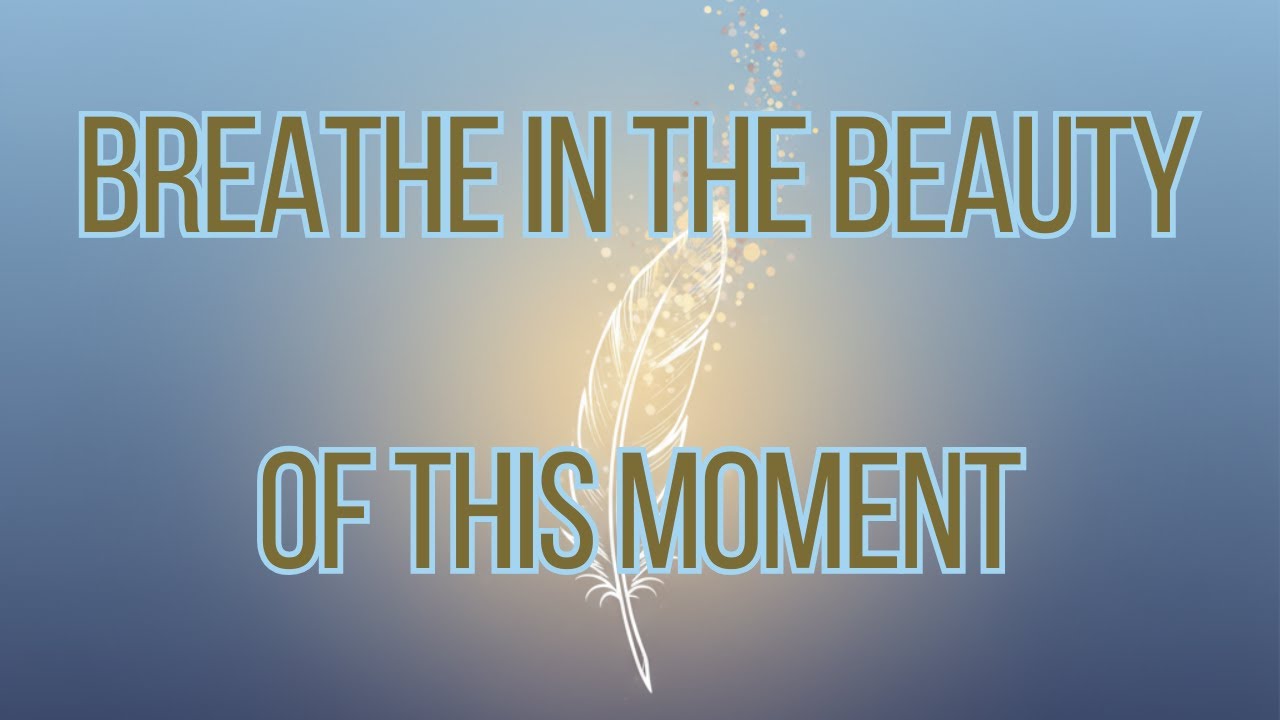 Deep Gratitude Meditation: Feel Peaceful, Present & Aligned with Abundance (Ad-Free)