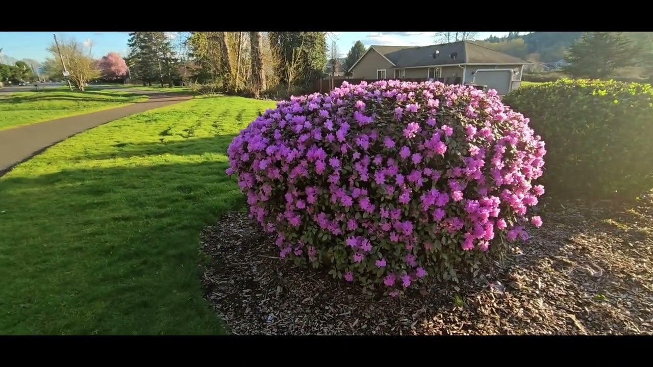 Orting Washington state drive to and walk Foothills trail