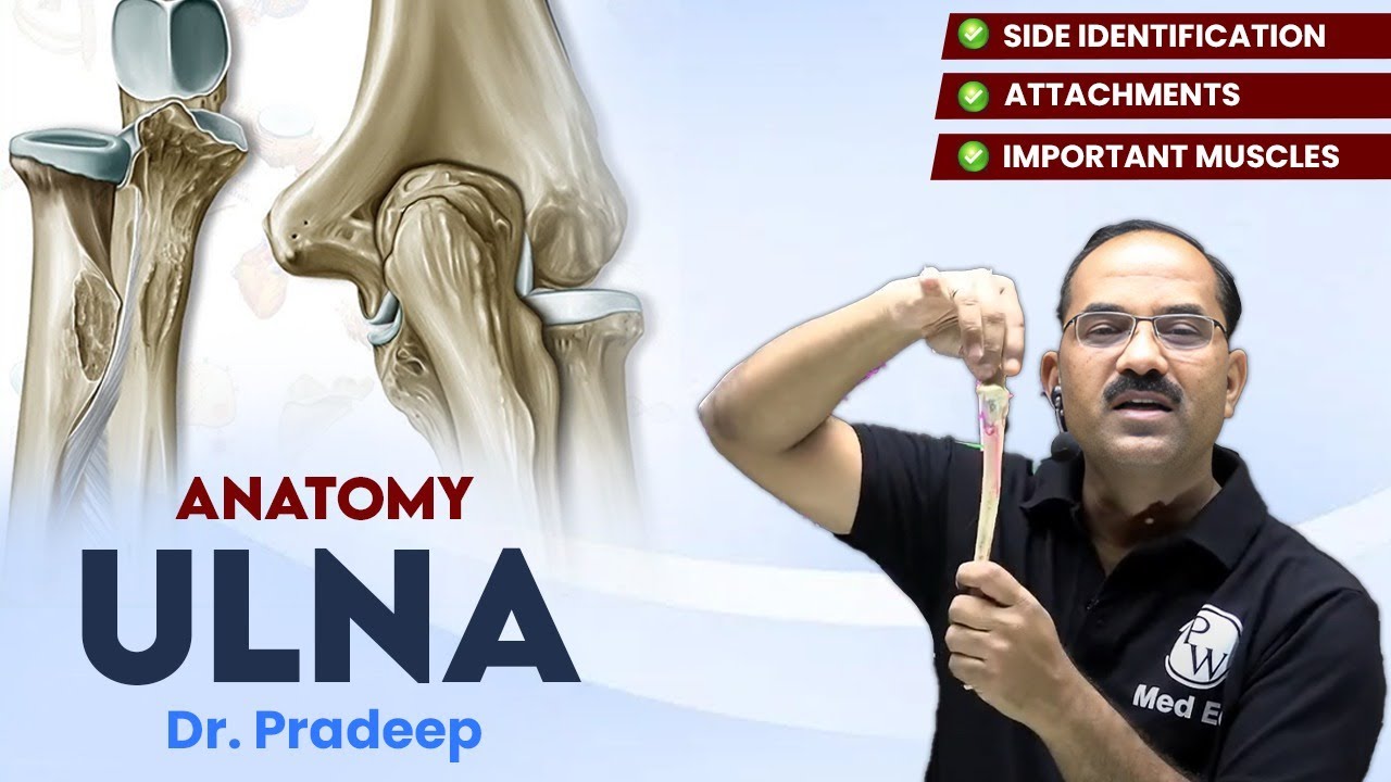 Ulna | Anatomy | Hard Parts Made Easy with Dr. Pradeep Pawar | PW MedEd