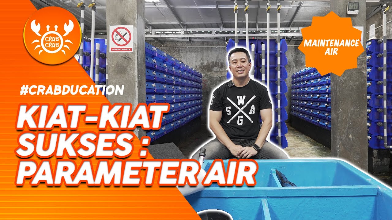 KIAT-KIAT SUKSES : PARAMETER AIR!! MAINTENANCE AIR UNTUK KEPITING | 