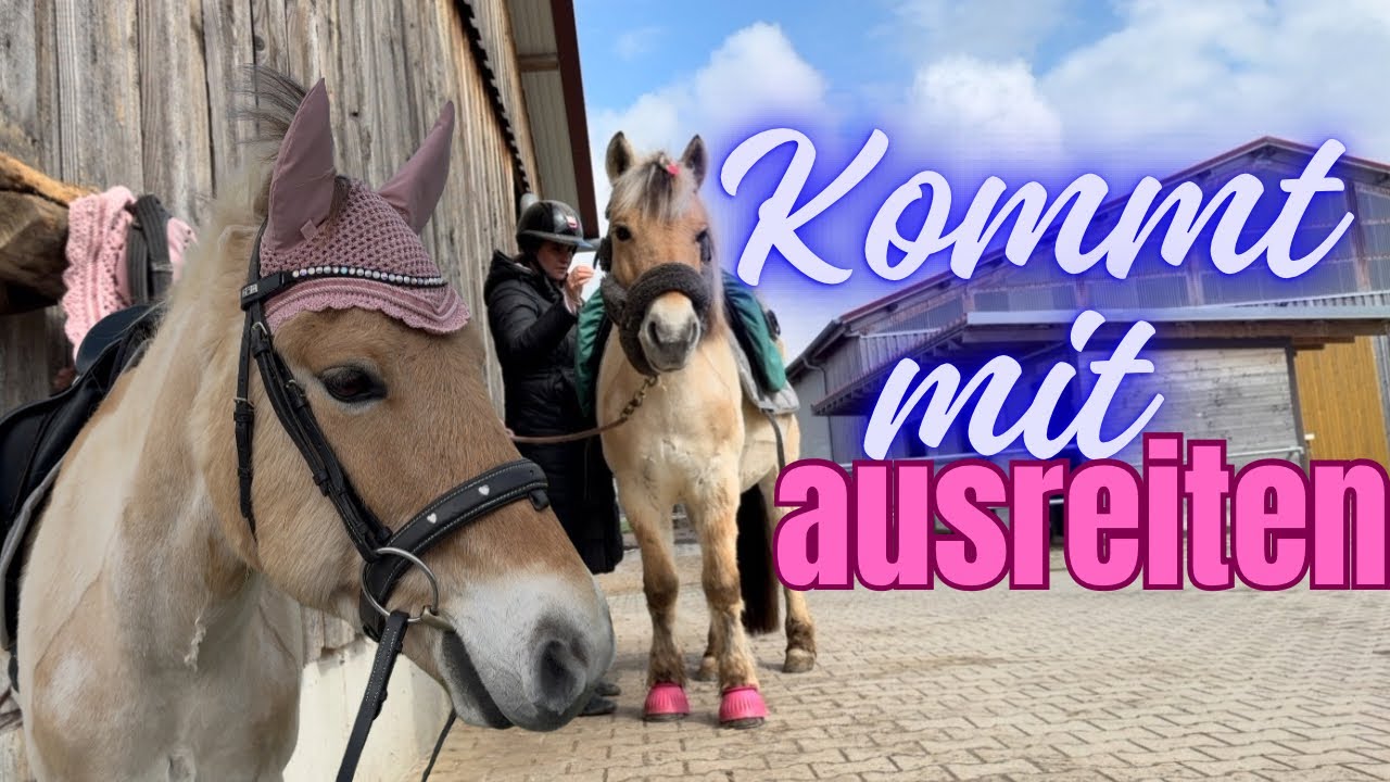 Wieso erschrickt mein Pferd?  | Ausritt Vlog