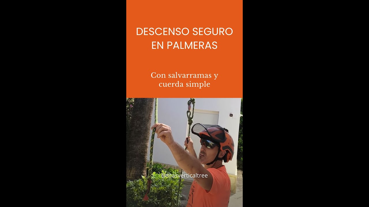 Cómo instalar salvarramas regulable en una palmera y descender con cuerda simple recuperable. 🌴
