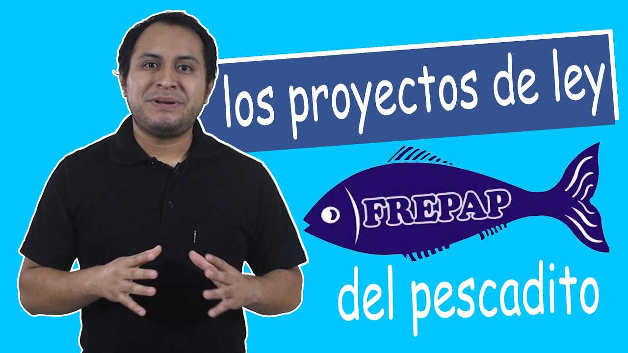frepap en el congreso: &iquest;proyectos de ley o cosas imposibles?