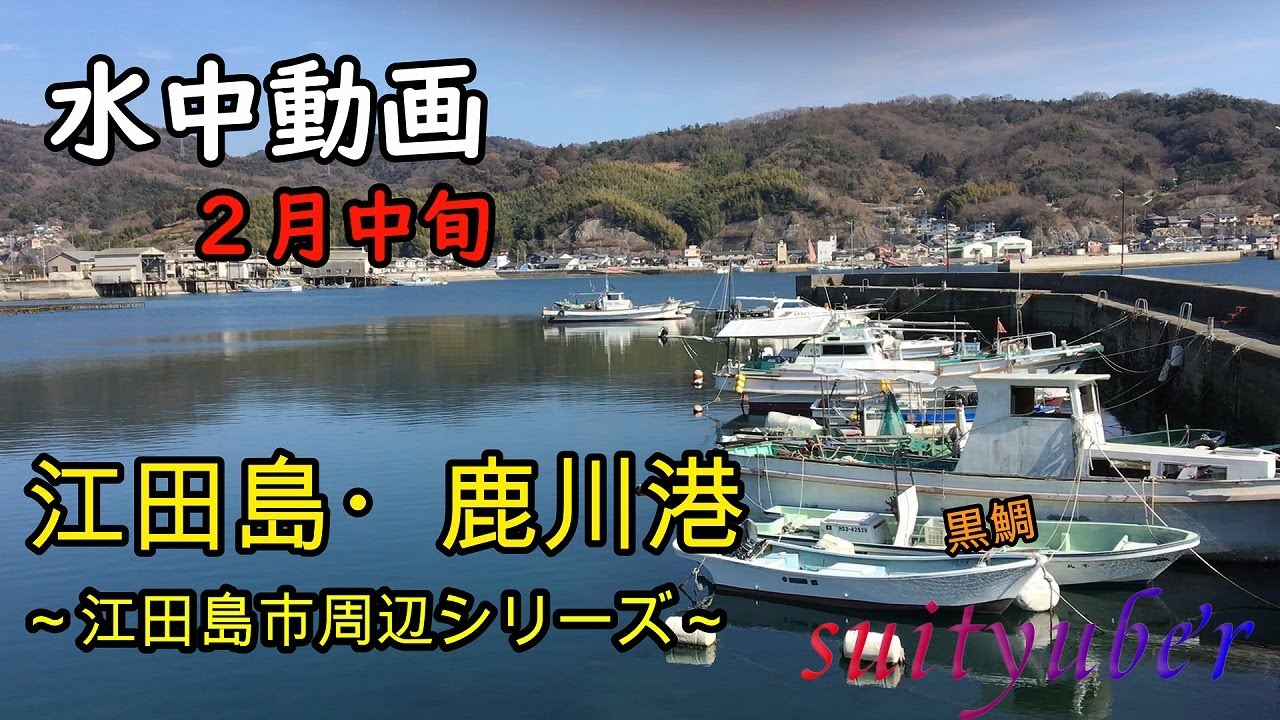 釣り人目線の水中動画　鹿川港（能美島）2022.2