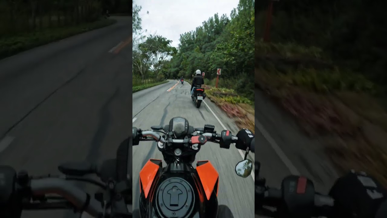CARBS TO CURVES | DOWNHILL
