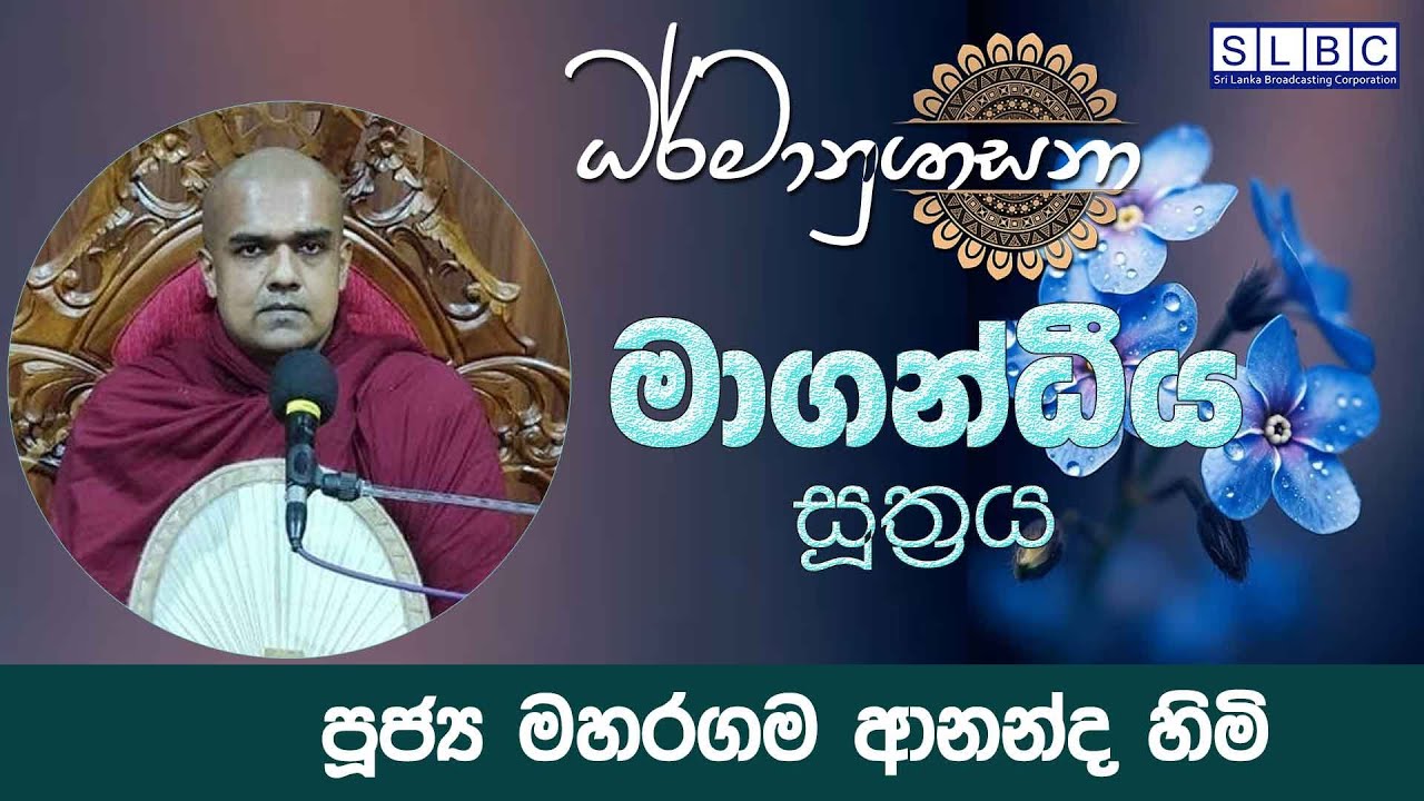 2026 FEBRUARY 02| 08 00 PM | මාගන්ධීය සූත්‍රය | පූජ්‍ය මහරගම ආනන්ද හිමි