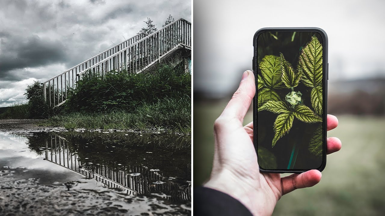 Mobile Photography Challenge (POV) - Taking Photos in Auto Mode
