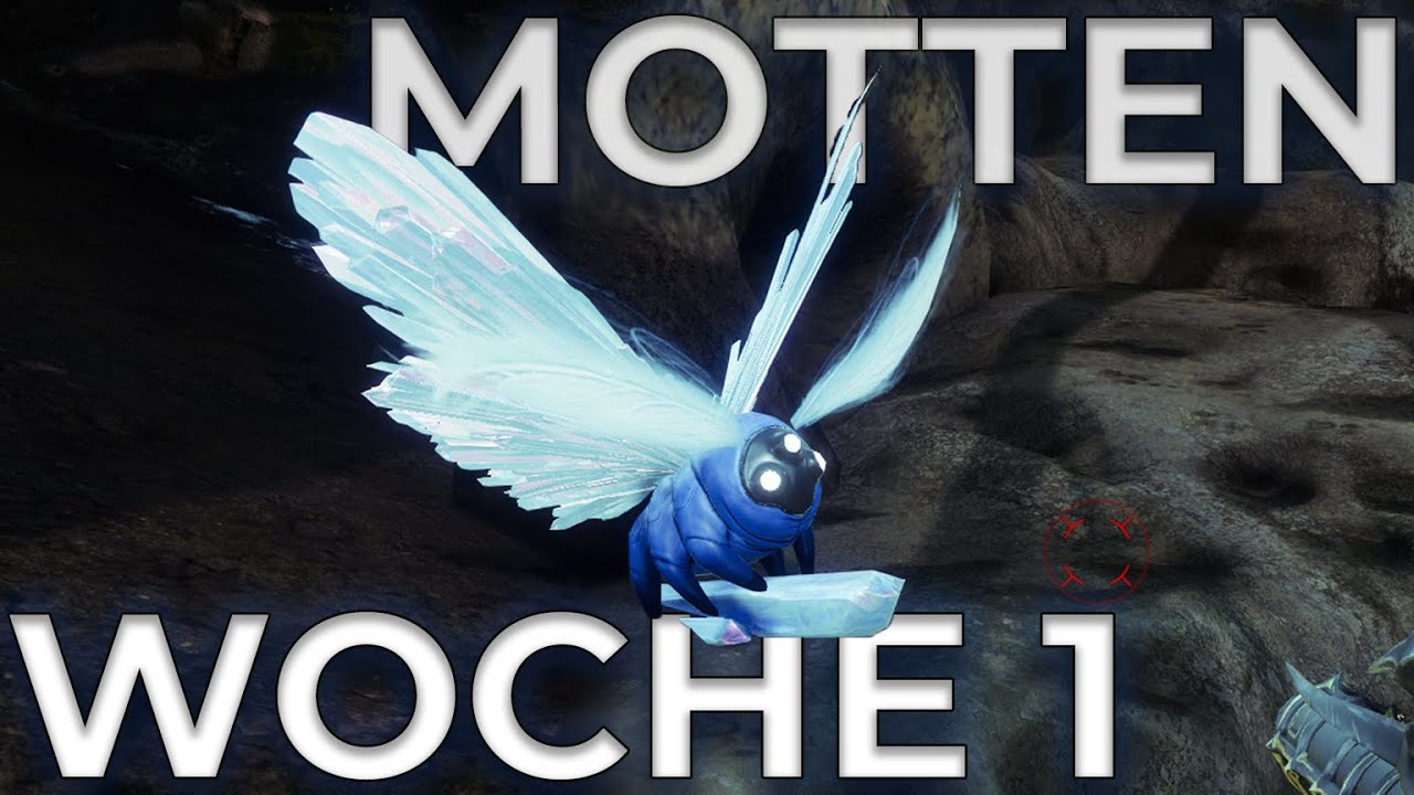 Alle MOTTEN der WOCHE 1 | Destiny 2