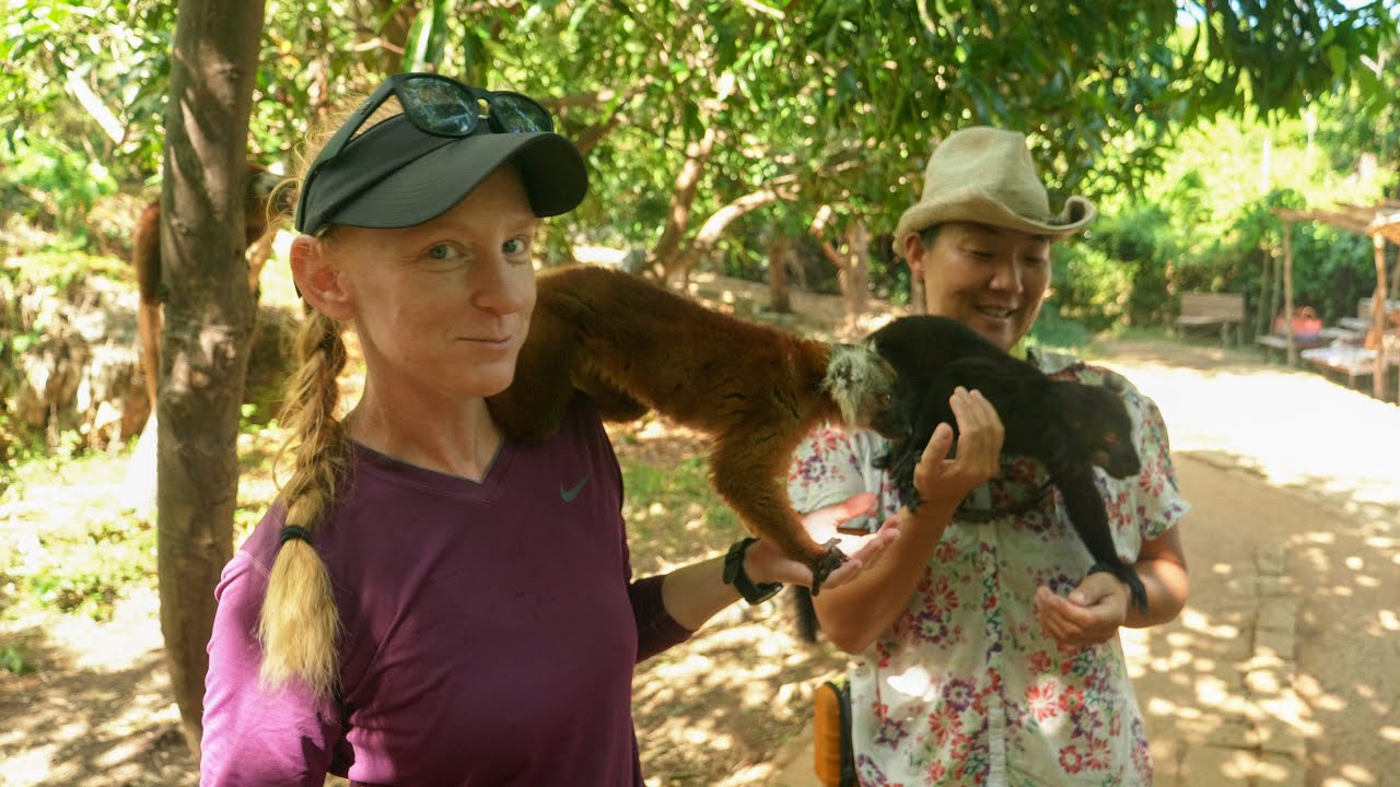 Queen Lemur On Nosy Komba - Ep. 144