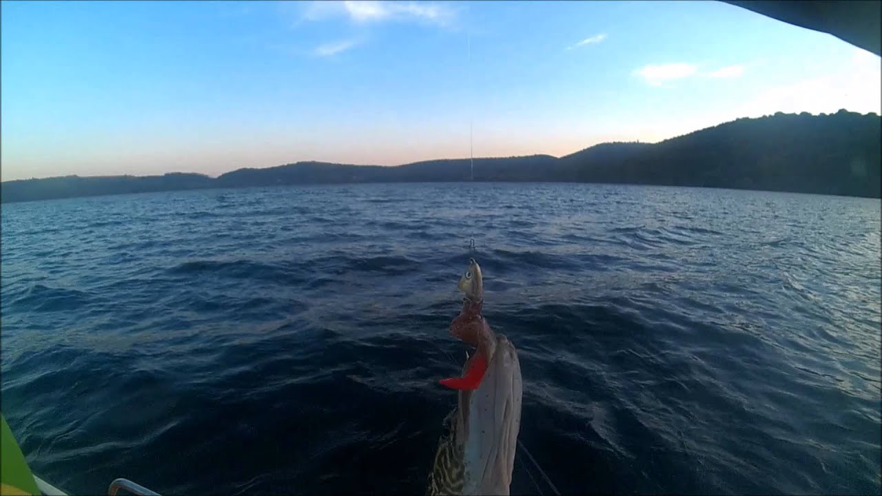 Lago di Martignano Luccio su Black Minnow 120